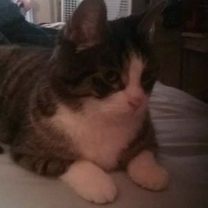 Meet your Posher, Cindy